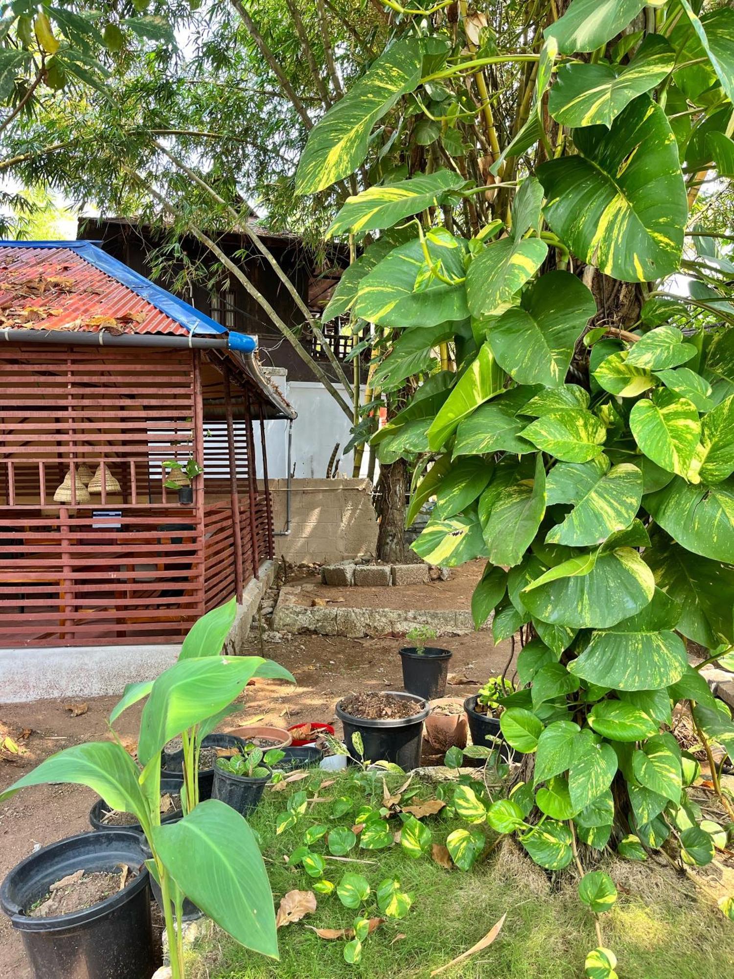 Bava Beach Resort & Retreat Center Varkala Eksteriør billede