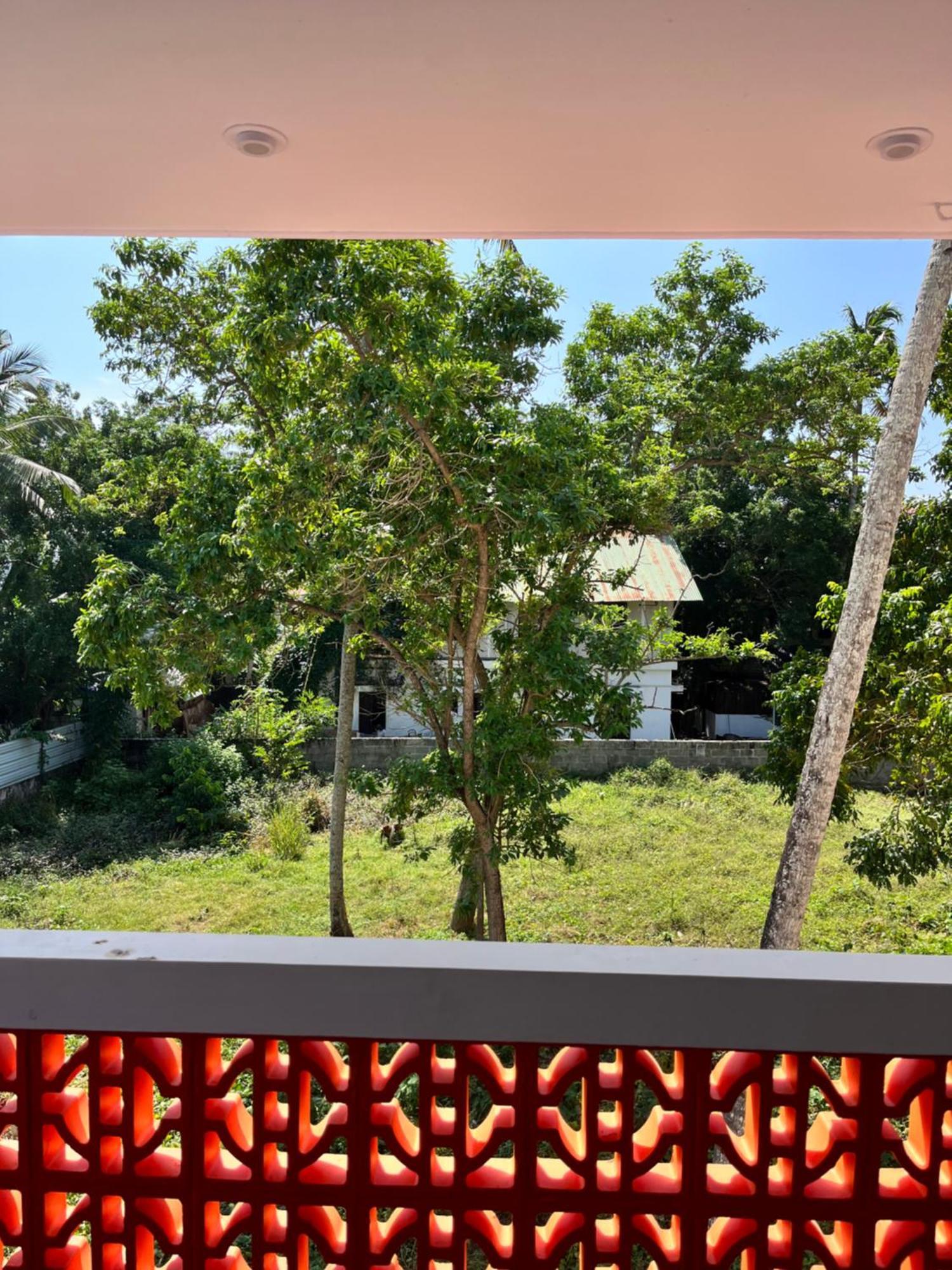 Bava Beach Resort & Retreat Center Varkala Eksteriør billede