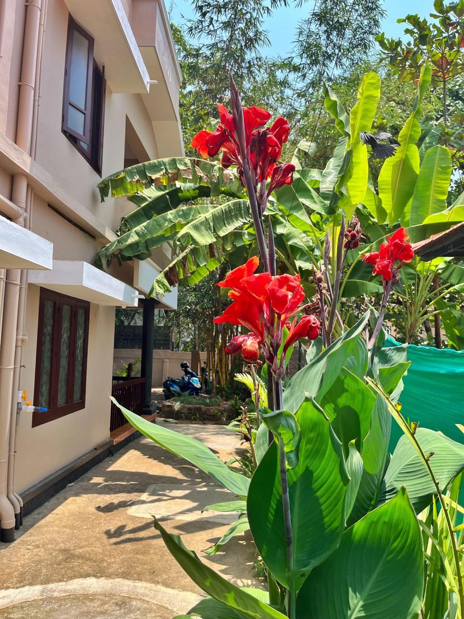 Bava Beach Resort & Retreat Center Varkala Eksteriør billede